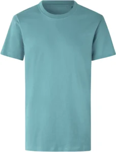 Økologisk T-shirt | børn Støvet aqua