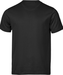 Regular Fit T-shirt | Dame Black